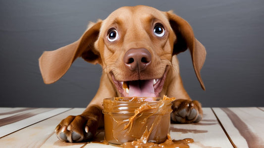dog eating peanut butter thinking is peanut butter safe for dogs?