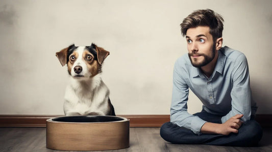 dog and owner looking shocked because dog ate cat poop