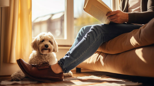 a dog licking its owners foot