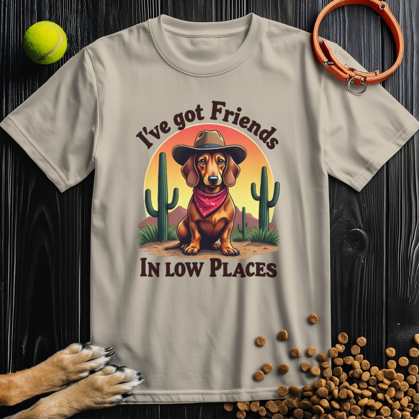 I've Got Friends In Low Places T-Shirt