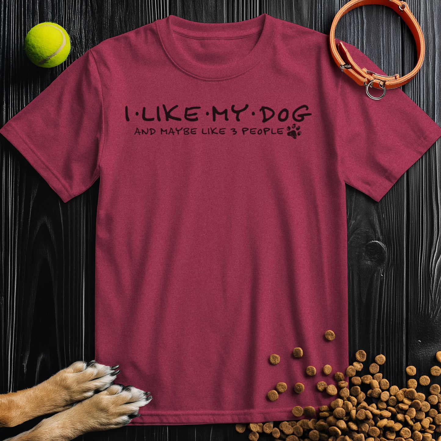 I Like My Dog And Maybe Like 3 People T-Shirt