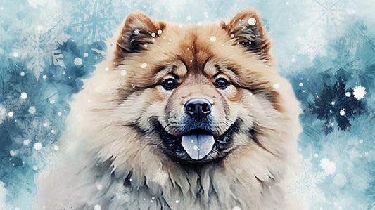 Unleash the Charm: Your Ultimate Guide to Chow Chow Dogs