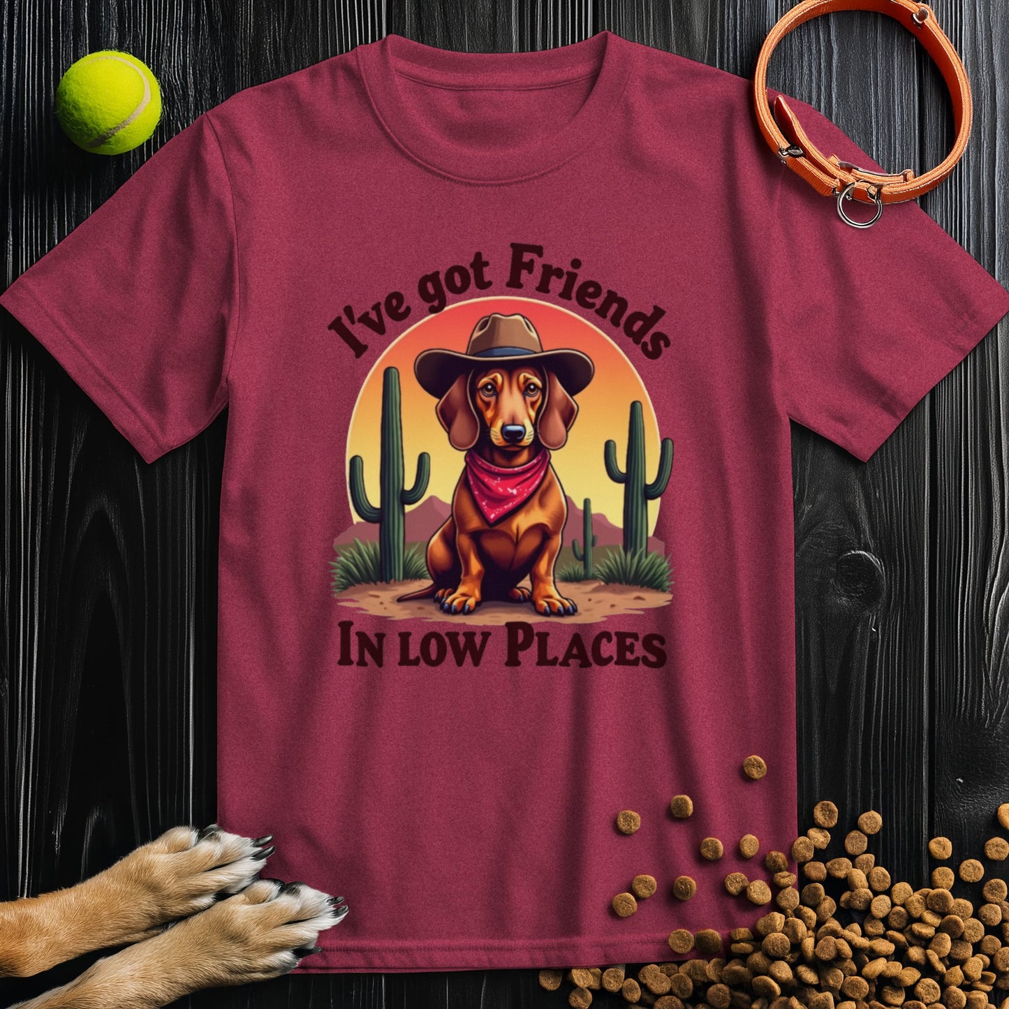 I've Got Friends In Low Places T-Shirt