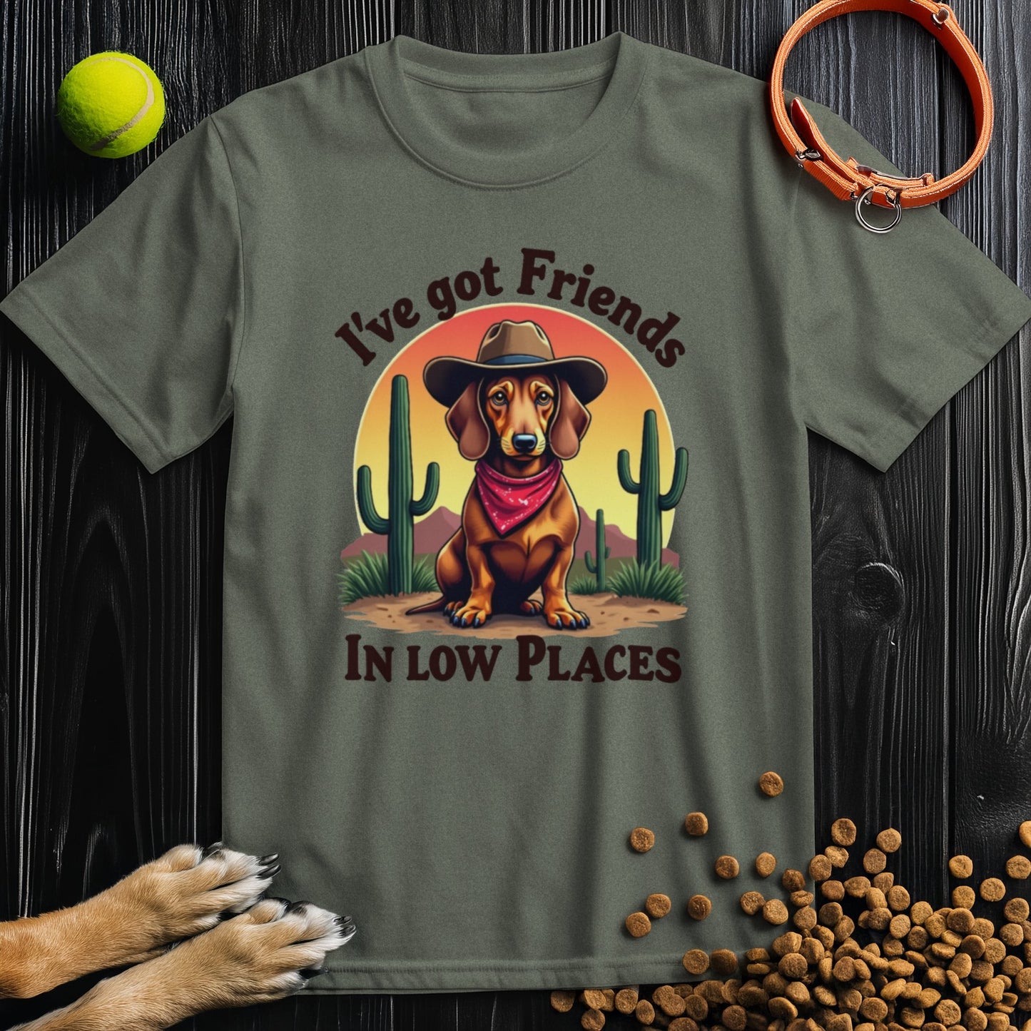 I've Got Friends In Low Places T-Shirt