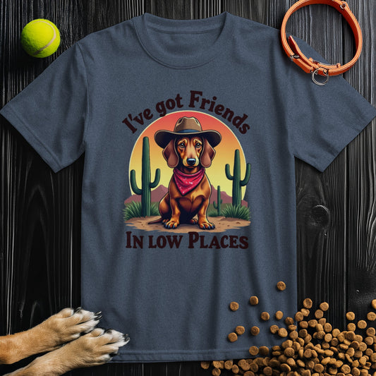 I've Got Friends In Low Places T-Shirt