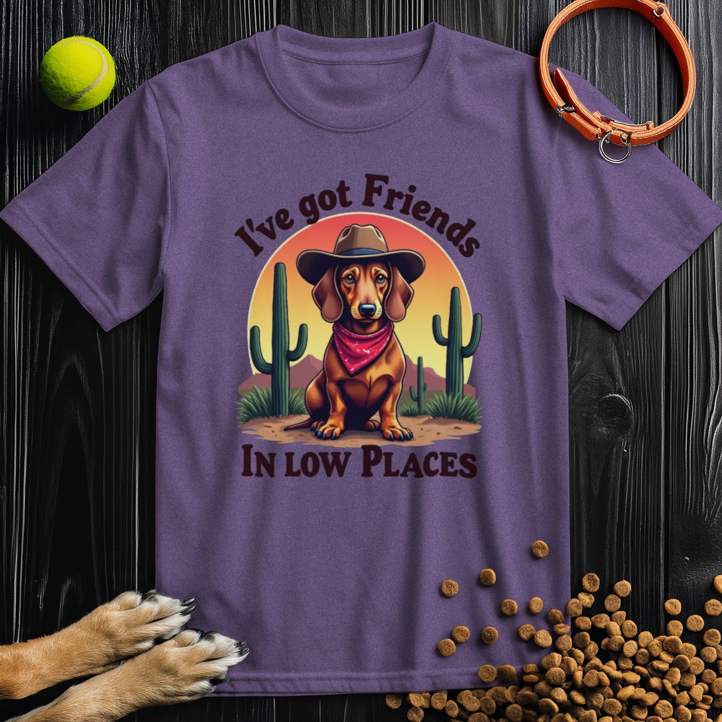 I've Got Friends In Low Places T-Shirt
