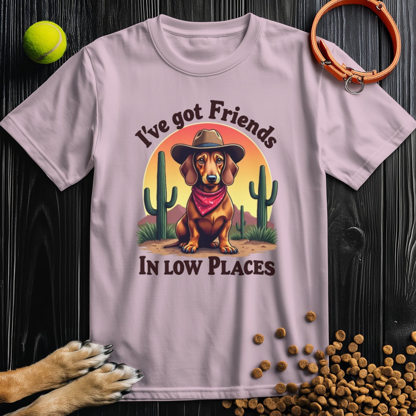 I've Got Friends In Low Places T-Shirt